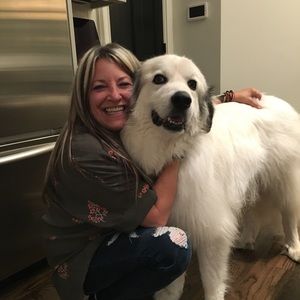 Meet your Posher, Phyllis